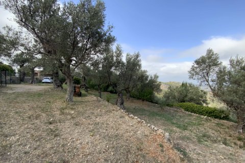 Finca zum Verkauf in Soller, Mallorca, Spanien 2 Schlafzimmer, 93 m2 Nr. 142666 - Foto 15