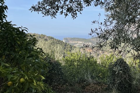 Finca zum Verkauf in Soller, Mallorca, Spanien 2 Schlafzimmer, 93 m2 Nr. 142666 - Foto 20