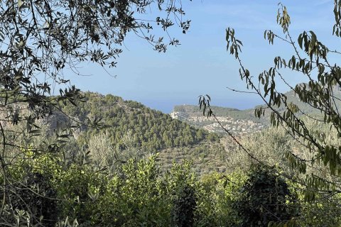Finca zum Verkauf in Soller, Mallorca, Spanien 2 Schlafzimmer, 93 m2 Nr. 142666 - Foto 5