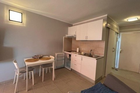 Apartment for sale in Tenerife, Spain 30 sq.m. No. 195213 - photo 7
