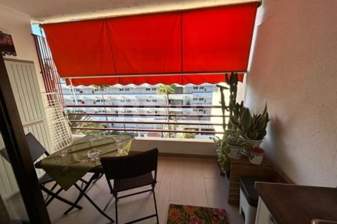 Apartment in Tenerife, Spain 30 sq.m. No. 195212
