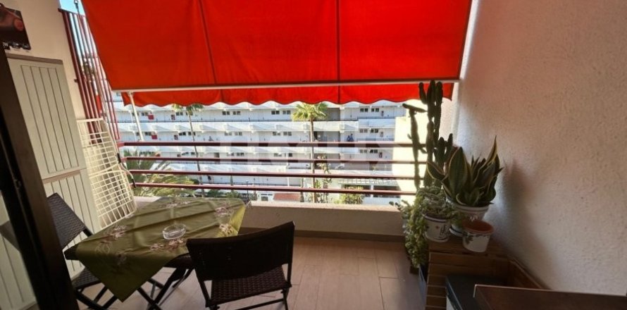 Apartment in Tenerife, Spain 30 sq.m. No. 195212
