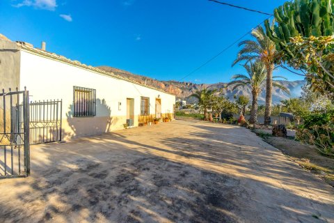 Finca in vendita Raiguero de Bonanza, Alicante, Spagna 4 camere da letto, 267 mq. N° 115148 - foto 24