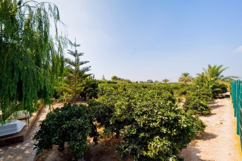 Finca in vendita Almoradi, Alicante, Spagna 5 camere da letto, 550 mq. N° 115163 - foto 18