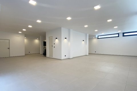 Villa in vendita a Torrevieja, Alicante, Spagna 4 camere da letto, 573 mq. N° 145008 - foto 22