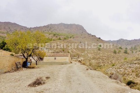 House for sale in Lucar, Almeria, Spain 3 bedrooms, 100 sq.m. No. 184024 - photo 17