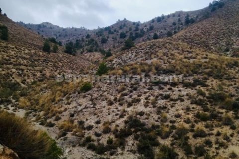 House for sale in Lucar, Almeria, Spain 3 bedrooms, 100 sq.m. No. 184024 - photo 19