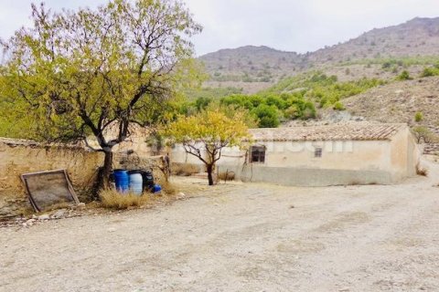 House for sale in Lucar, Almeria, Spain 3 bedrooms, 100 sq.m. No. 184024 - photo 21