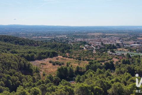 Tontti myytävänä Alcover, Tarragona, Espanja , 623 m2 No. 195061 - kuva 5