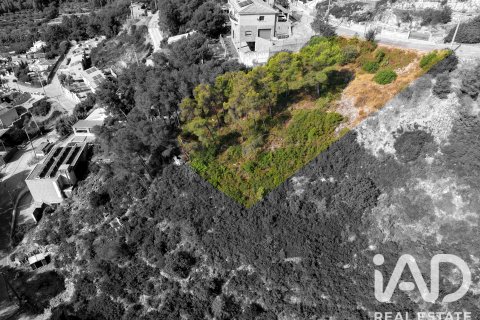 Tontti myytävänä Alcover, Tarragona, Espanja , 623 m2 No. 195061 - kuva 2