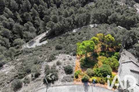 Tontti Alcover, Tarragona, Espanja 623 m2 No. 195061