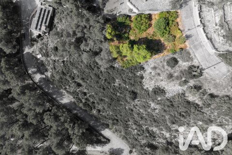 Tontti myytävänä Alcover, Tarragona, Espanja , 623 m2 No. 195061 - kuva 3