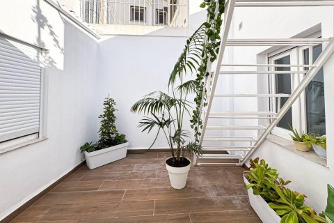 Hotelis pārdošanā Torrevieja, Alicante, Spānijā 350 m2 Nr. 148511 - attēls 4