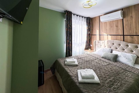 Hotelis pārdošanā Torrevieja, Alicante, Spānijā 350 m2 Nr. 148511 - attēls 20