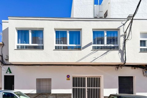 Hotelis pārdošanā Torrevieja, Alicante, Spānijā 350 m2 Nr. 148511 - attēls 10