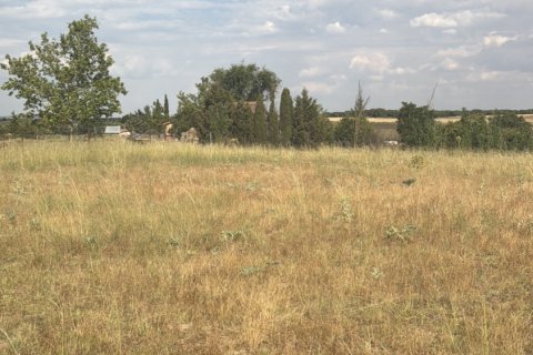 Land plot à vendre à Medina del Campo, Valladolid, Espagne, 10611 m2 No. 192173 - photo 2