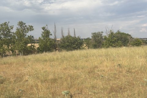 Land plot à vendre à Medina del Campo, Valladolid, Espagne, 10611 m2 No. 192173 - photo 5