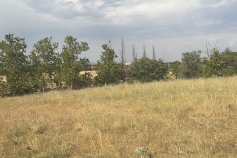 Land plot à vendre à Medina del Campo, Valladolid, Espagne, 10611 m2 No. 192173 - photo 8