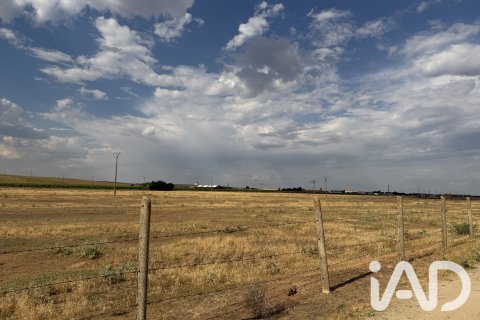 Land plot à vendre à Medina del Campo, Valladolid, Espagne, 10611 m2 No. 192173 - photo 13