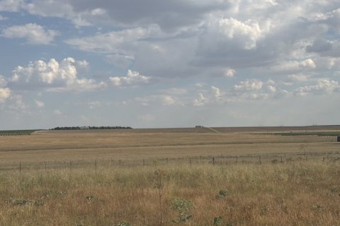 Land plot à vendre à Medina del Campo, Valladolid, Espagne, 10611 m2 No. 192173 - photo 4