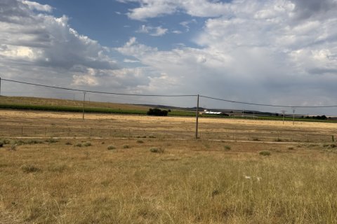 Land plot à vendre à Medina del Campo, Valladolid, Espagne, 10611 m2 No. 192173 - photo 9