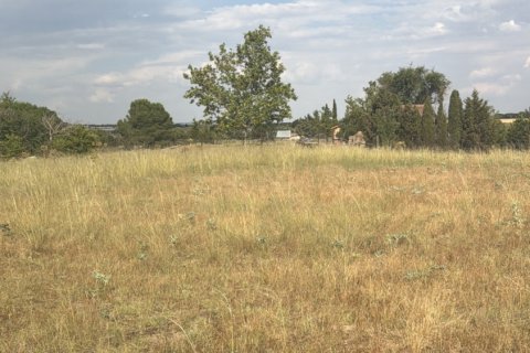 Land plot à Medina del Campo, Valladolid, Espagne 10611 m2 No. 192173