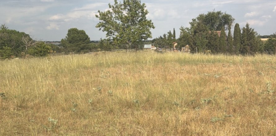 Land plot à Medina del Campo, Valladolid, Espagne 10611 m2 No. 192173