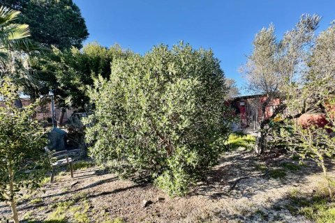 Finka w Guardamar del Segura, Alicante, Hiszpania 4 sypialnie, 200 mkw. nr 149062 – zdjęcie 29