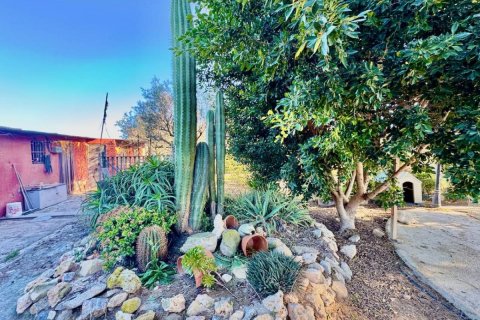 Finka w Guardamar del Segura, Alicante, Hiszpania 4 sypialnie, 200 mkw. nr 149062 – zdjęcie 27