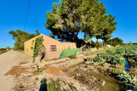 Finca à Guardamar del Segura, Alicante, Espagne 4 chambres, 200 m2 No. 149062