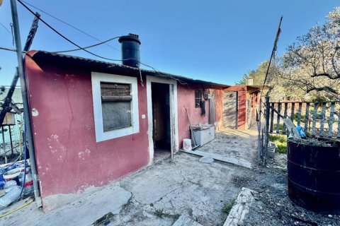 Finka w Guardamar del Segura, Alicante, Hiszpania 4 sypialnie, 200 mkw. nr 149062 – zdjęcie 28