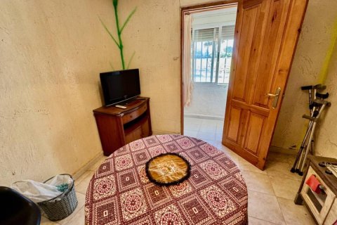 Finka w Guardamar del Segura, Alicante, Hiszpania 4 sypialnie, 200 mkw. nr 149062 – zdjęcie 13