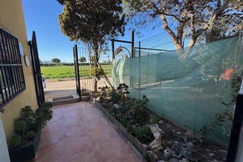 Finka w Guardamar del Segura, Alicante, Hiszpania 4 sypialnie, 200 mkw. nr 149062 – zdjęcie 22