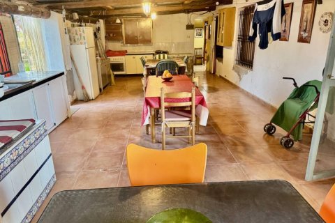 Finka w Guardamar del Segura, Alicante, Hiszpania 4 sypialnie, 200 mkw. nr 149062 – zdjęcie 4