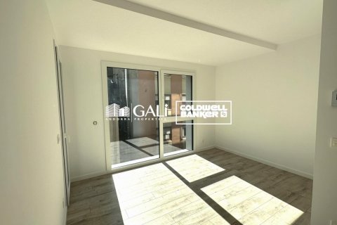 Apartament w Principado De Andorra (Ninguna Poblacion Tiene C.P.), Lleida, Hiszpania 2 sypialnie, 90 mkw. nr 157037 – zdjęcie 3