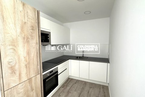 Apartament w Principado De Andorra (Ninguna Poblacion Tiene C.P.), Lleida, Hiszpania 2 sypialnie, 90 mkw. nr 157037 – zdjęcie 4