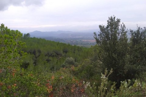 Land plot for sale in Ginestar, Tarragona, Spain 69551 sq.m. No. 186107 - photo 2