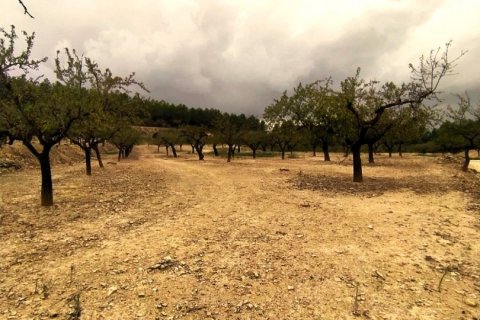 Land plot for sale in Ginestar, Tarragona, Spain 69551 sq.m. No. 186107 - photo 7