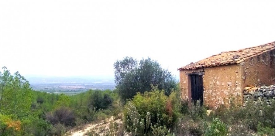 Land plot in Ginestar, Tarragona, Spain 69551 sq.m. No. 186107