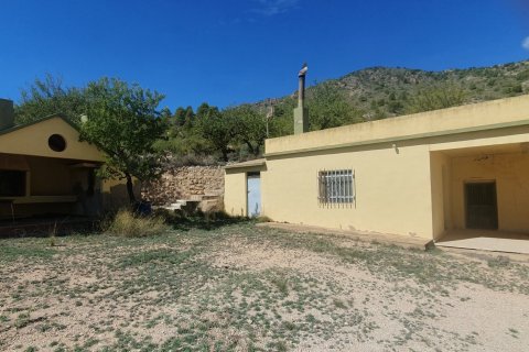 Продажа земельного участка в Салинас, Аликанте, Испания 20000м2 №186109 - фото 2