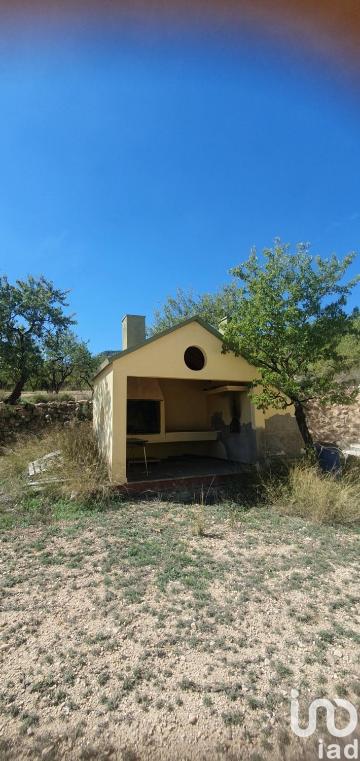 Działka w Salinas, Alicante, Hiszpania 20000 mkw. nr 186109