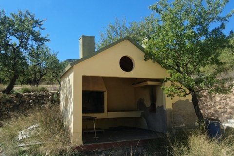 Продажа земельного участка в Салинас, Аликанте, Испания 20000м2 №186109 - фото 7