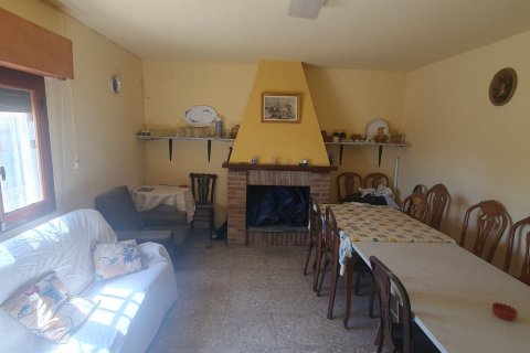Продажа земельного участка в Салинас, Аликанте, Испания 20000м2 №186109 - фото 3