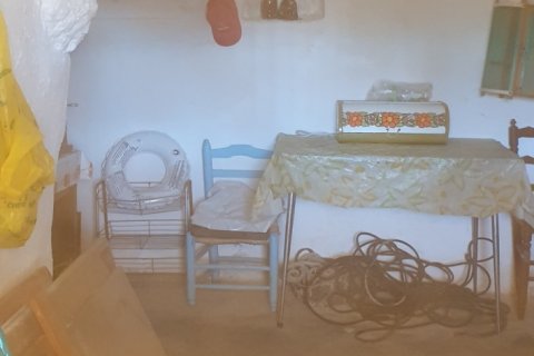 Продажа земельного участка в Салинас, Аликанте, Испания 20000м2 №186109 - фото 8