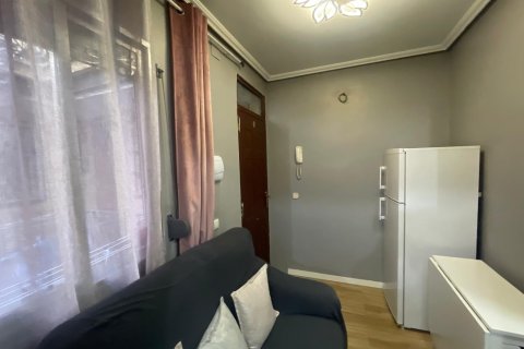Appartamento in affitto a Madrid, Spagna 26 mq. N° 167929 - foto 12