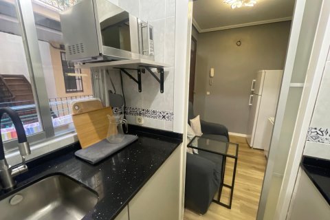 Appartamento in affitto a Madrid, Spagna 26 mq. N° 167929 - foto 15