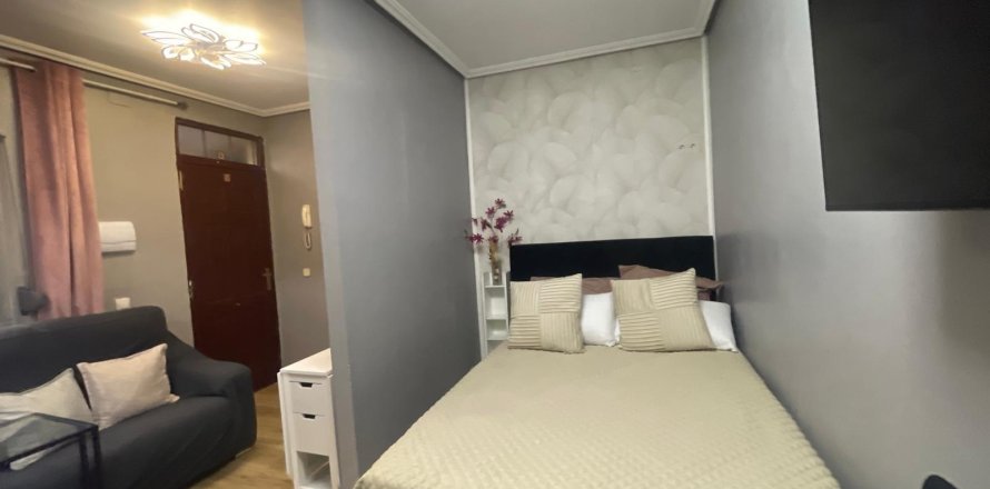 Appartamento a Madrid, Spagna 26 mq. N° 167929