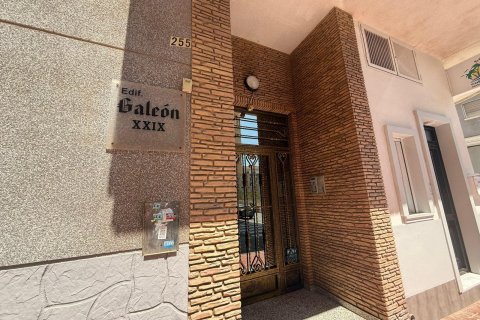 Penthouse à vendre à Torrevieja, Alicante, Espagne, 2 chambres, 78 m2 No. 167928 - photo 23