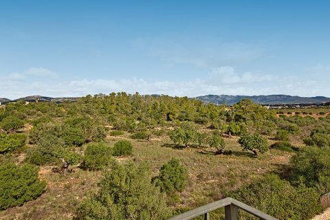 Villa till salu i Mallorca, Spanien 6 sovrum, 600 kvm. Nr. 148049 - foto 2