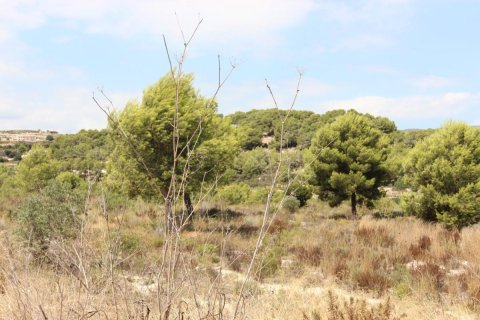 Land plot for sale Moraira, Alicante, Spain No. 80522 - photo 2